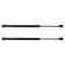 Liftgate Lift Support Set