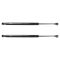 Trunk Lid Lift Support Set