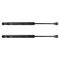 Trunk Lid Lift Support Set
