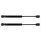 Trunk Lid Lift Support Set
