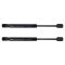 Trunk Lid Lift Support Set