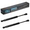 Trunk Lid Lift Support Set