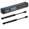 Trunk Lid Lift Support Set