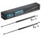 Liftgate Lift Support Set