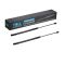 Hood Lift Support Set
