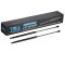 Liftgate Lift Support Set