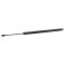 Liftgate Lift Support Set