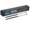 Liftgate Lift Support Set