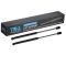 Liftgate Lift Support Set