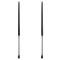 Liftgate Lift Support Set