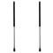 Liftgate Lift Support Set