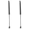 Liftgate Lift Support Set