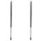 Liftgate Lift Support Set
