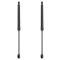 Liftgate Lift Support Set