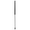 Liftgate Lift Support Set