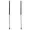 Liftgate Lift Support Set