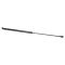 Liftgate Lift Support Set