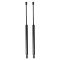 Liftgate Lift Support Set