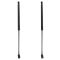 Liftgate Lift Support Set