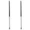 Liftgate Lift Support Set