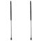 Liftgate Lift Support Set