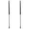 Liftgate Lift Support Set