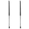 Liftgate Lift Support Set