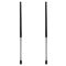 Liftgate Lift Support Set