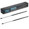 Liftgate Lift Support Set