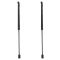 Liftgate Lift Support Set