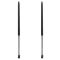 Liftgate Lift Support Set