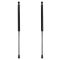 Liftgate Lift Support Set