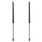 Liftgate Lift Support Set