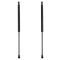 Liftgate Lift Support Set