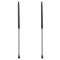 Liftgate Lift Support Set