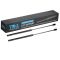 Liftgate Lift Support Set
