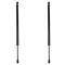 Liftgate Lift Support Set