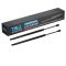 Liftgate Lift Support Set