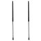 Liftgate Lift Support Set