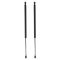 Liftgate Lift Support Set