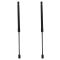 Liftgate Lift Support Set