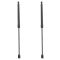 Liftgate Lift Support Set