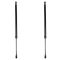Liftgate Lift Support Set