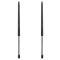 Liftgate Lift Support Set