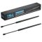 Liftgate Lift Support Set