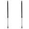 Liftgate Lift Support Set