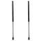 Liftgate Lift Support Set