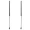 Liftgate Lift Support Set