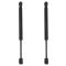 Trunk Lid Lift Support Set