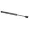 Trunk Lid Lift Support Set